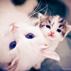 Meet your Posher, Karissa